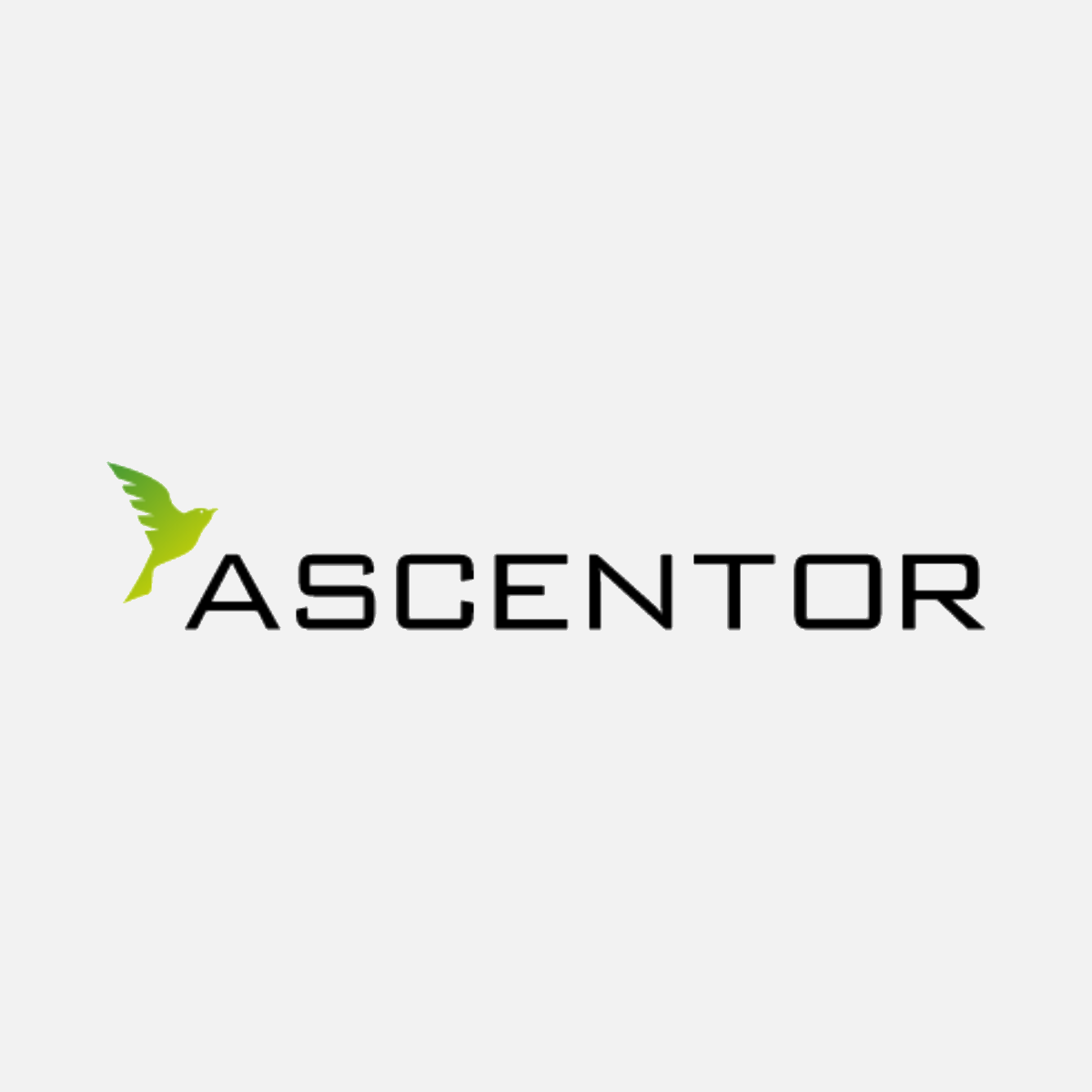 Ascentor logo